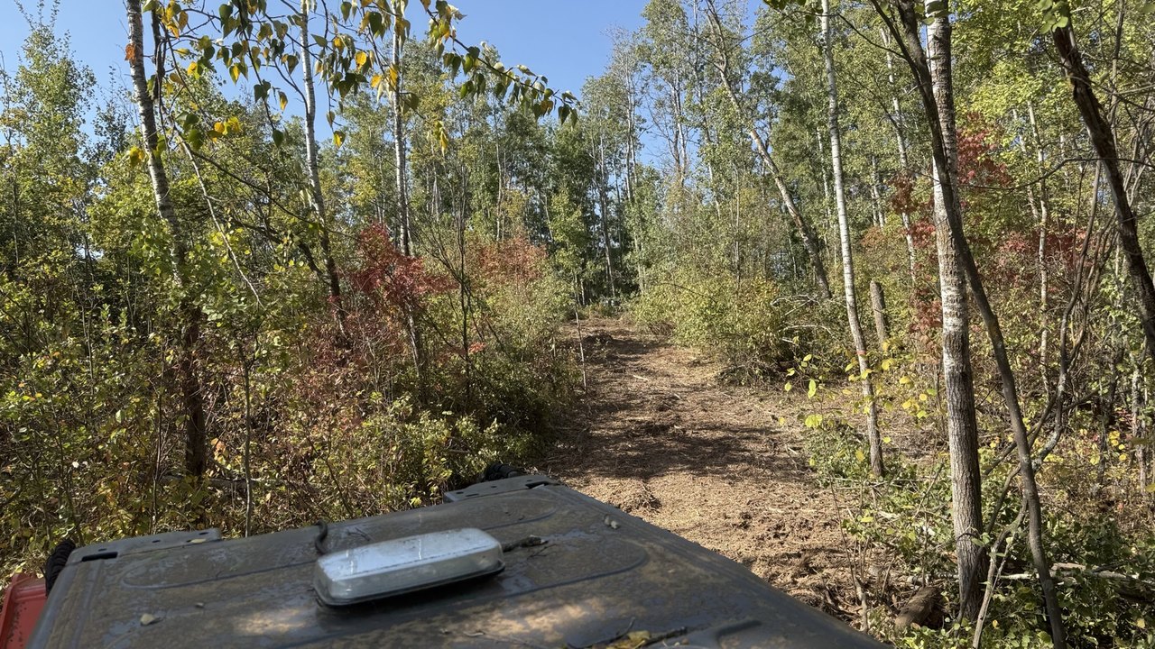 Operator view down freshly mulched trail