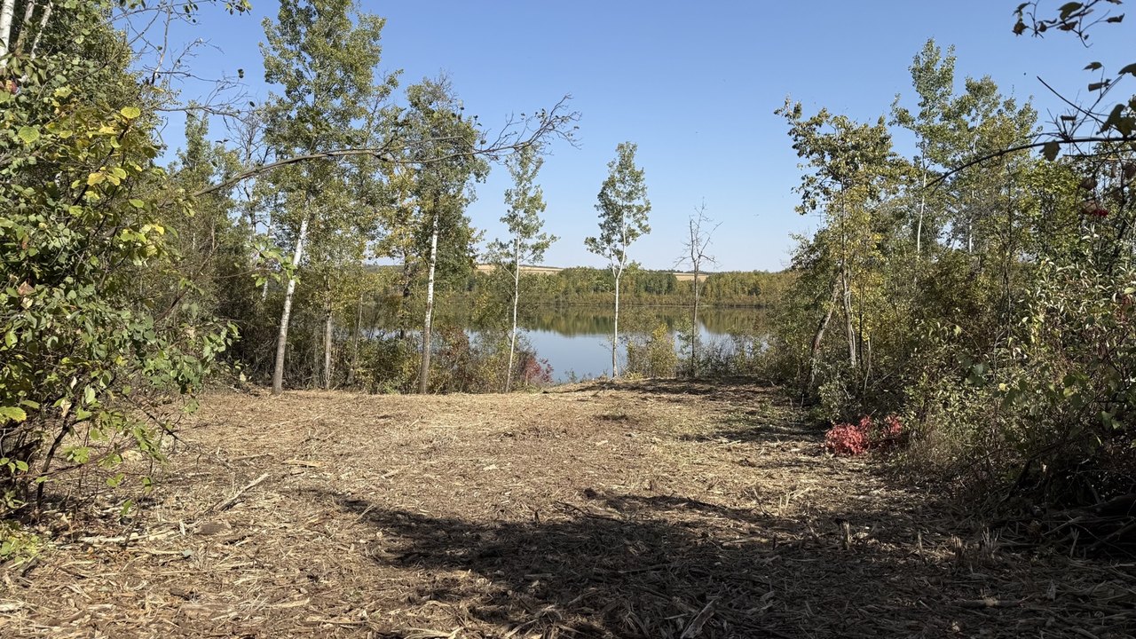Open pad with lake view framed by poplars